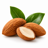 SWEET ALMOND OIL