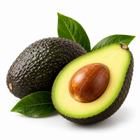 AVOCADO OIL